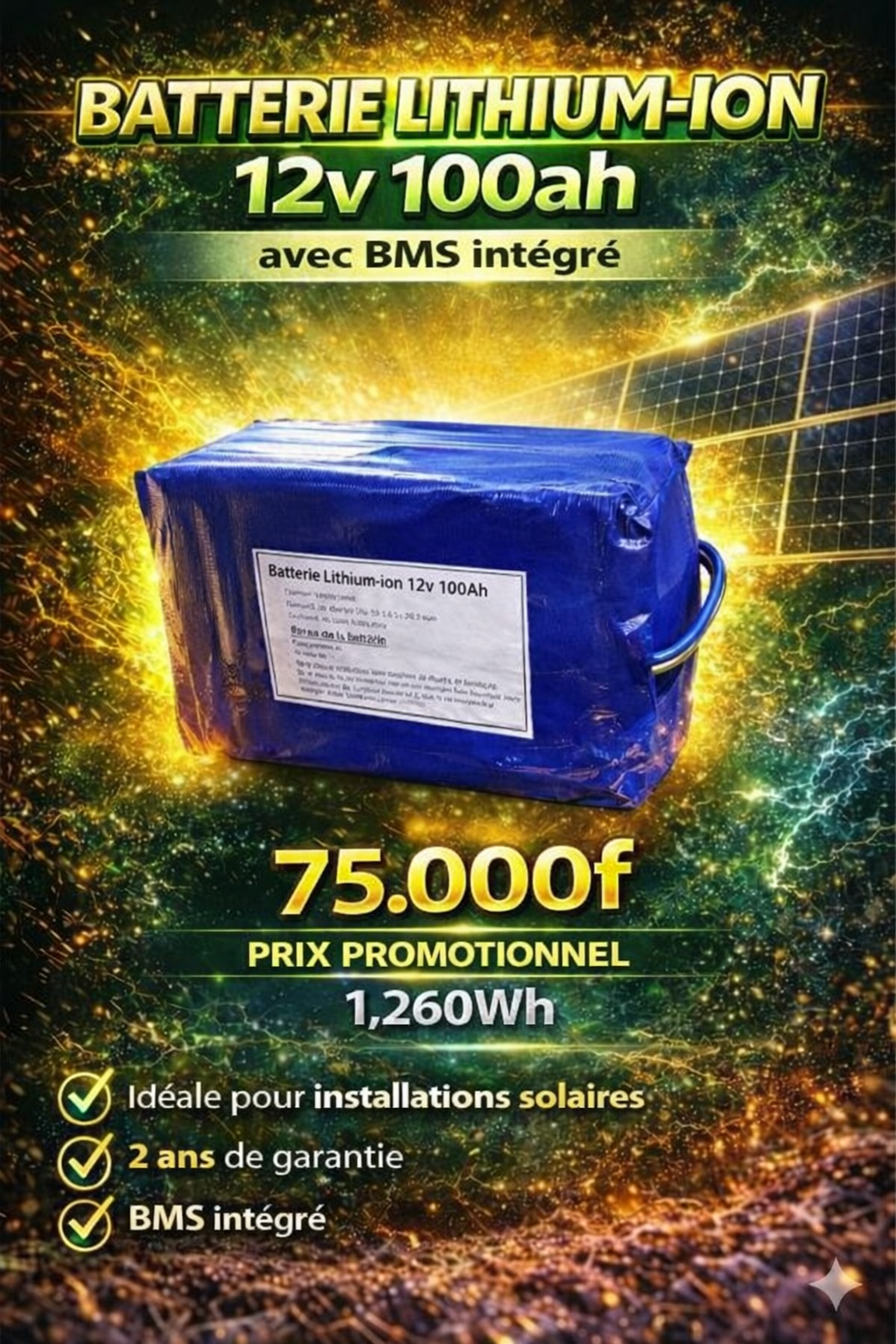 Batterie lithium-ion 12v 100ah habillé 1260wh